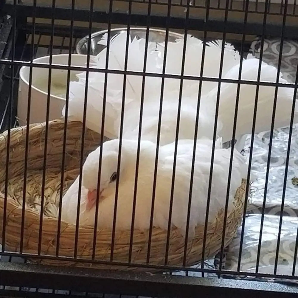 Orgrimmar2PCSHandmadeWovenFlatBaseStrawBirdNestBreedingNestHatchHouseCageforDove,Pigeon,Parrot,Rabbits,Hamster,GerbilGuineaPig,C