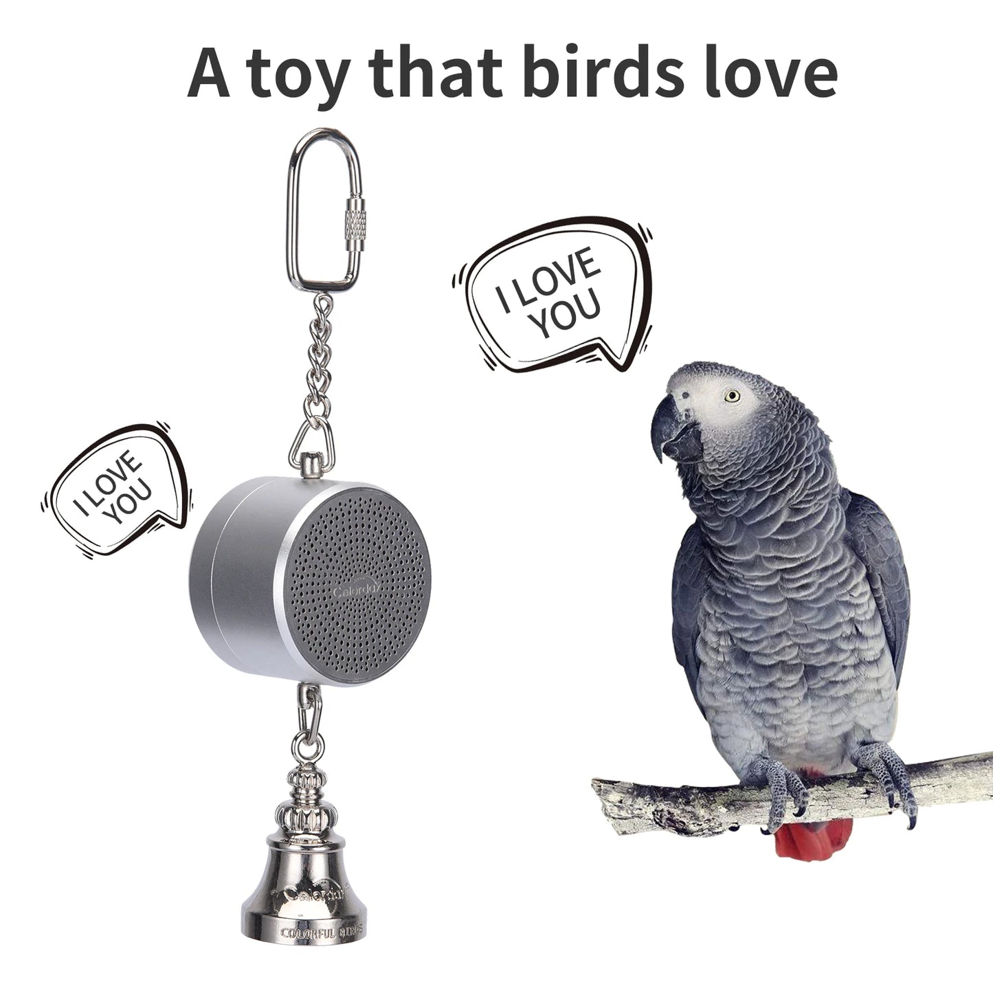 CN Guangdong Voice Recordable Bird Toy Training Coach