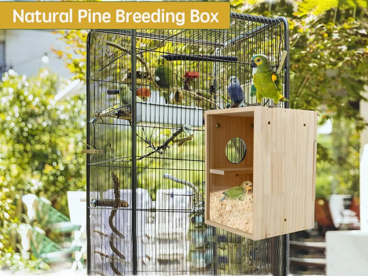 Wooden & Acrylic Bird Nest Box – Transparent Breeding House for Parakeets, Budgies, Lovebirds, Finches &Parrots